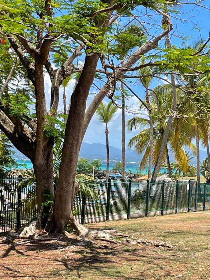 Cauris Lodge Du Marisol Vue Mer Acces Direct Plage Le Gosier  Exterior photo